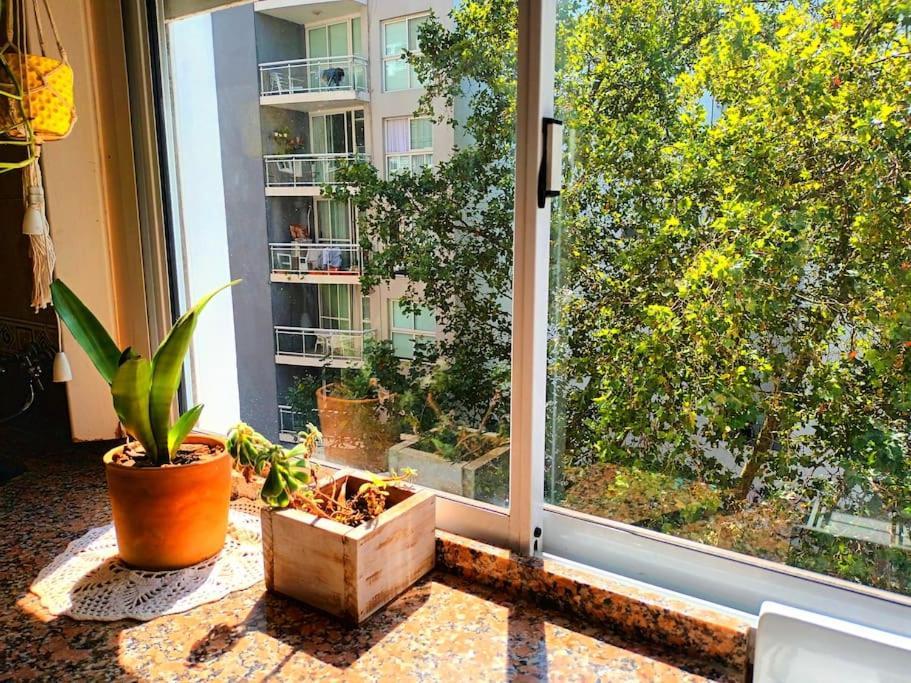 El Encantador Mardel Apartment *