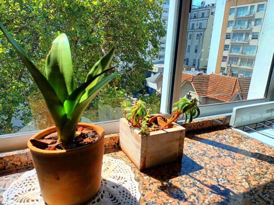 El Encantador Mardel Apartment